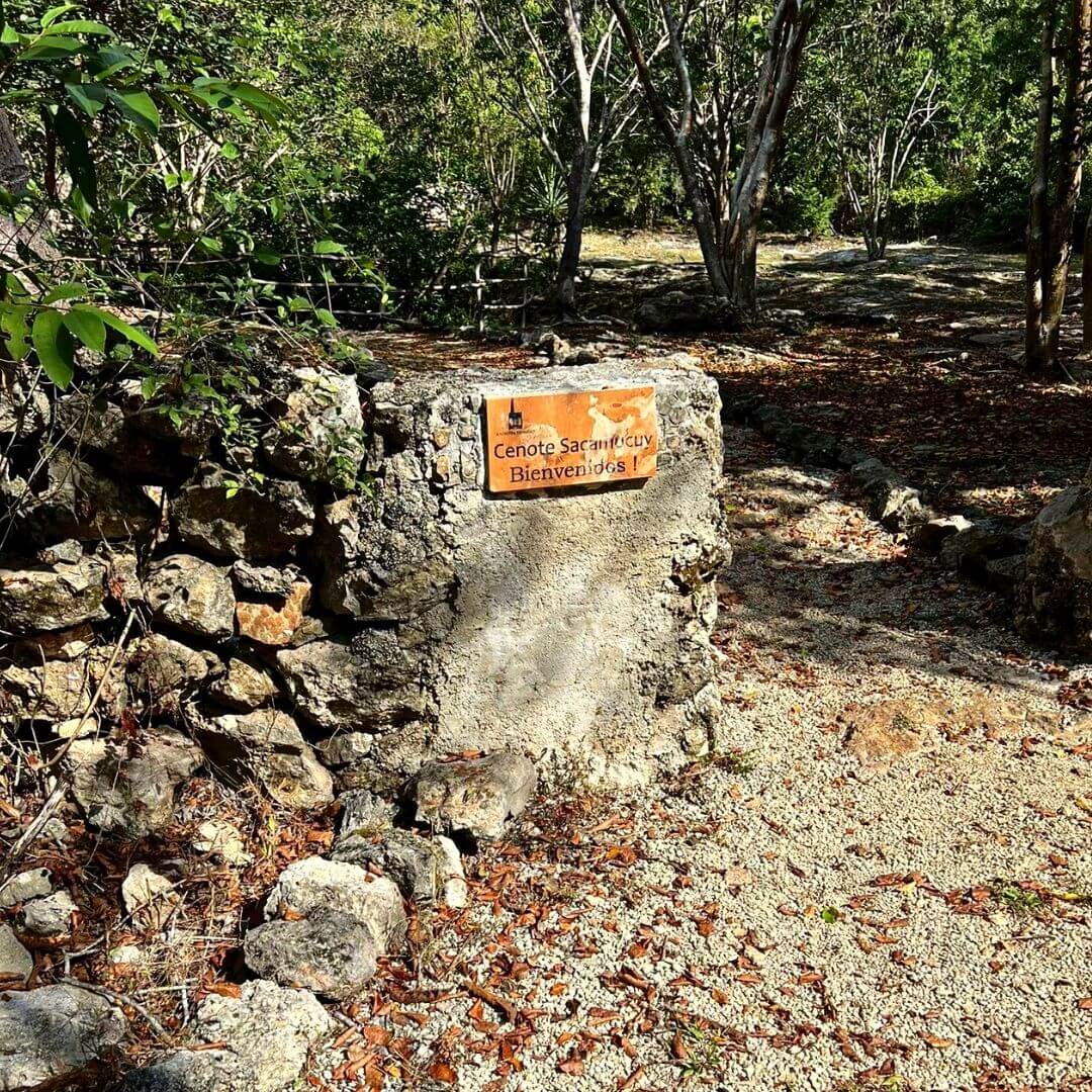 ruta del sendero sacamucuy en yucatan