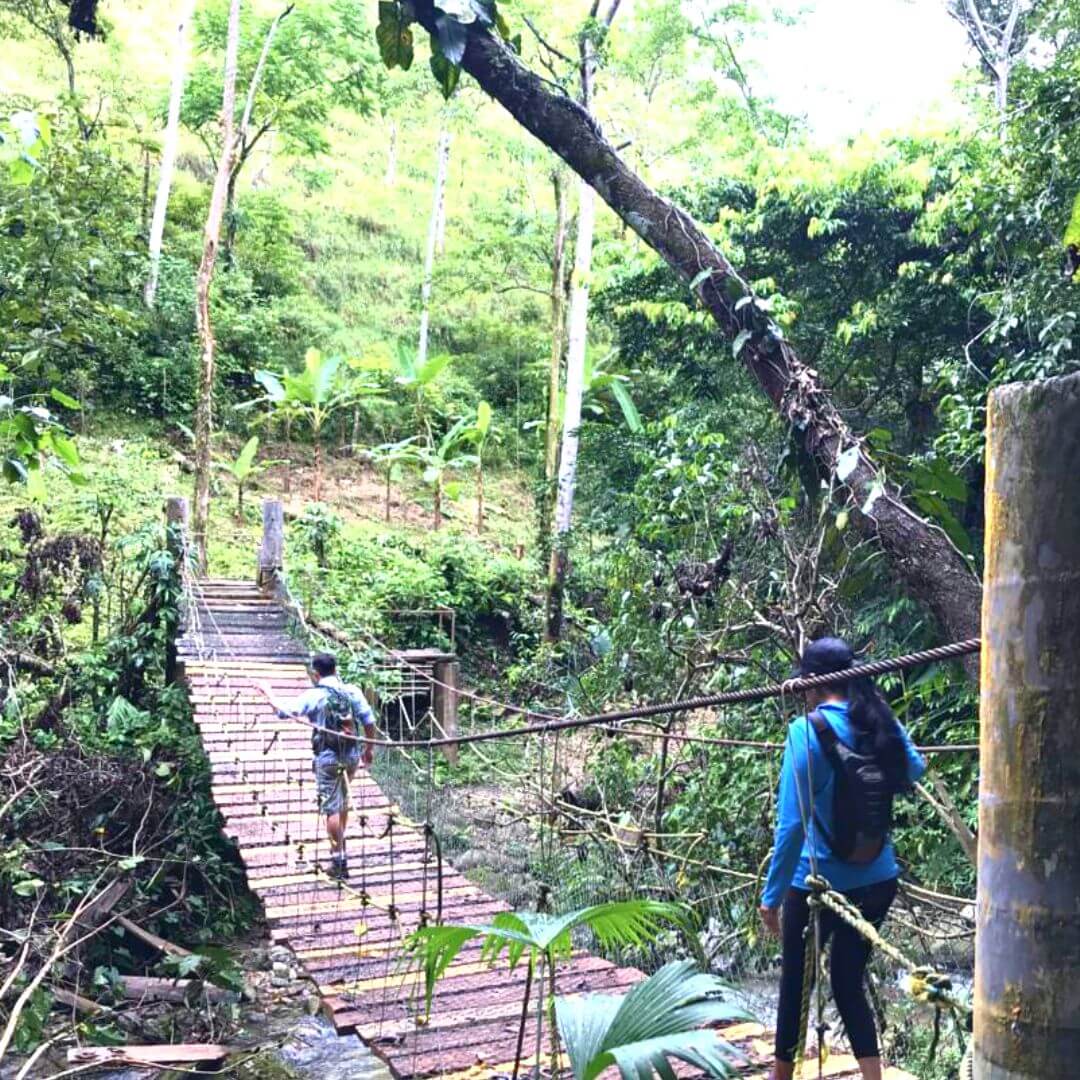 sendero cascada cola de caballo en huimanguillo tabasco