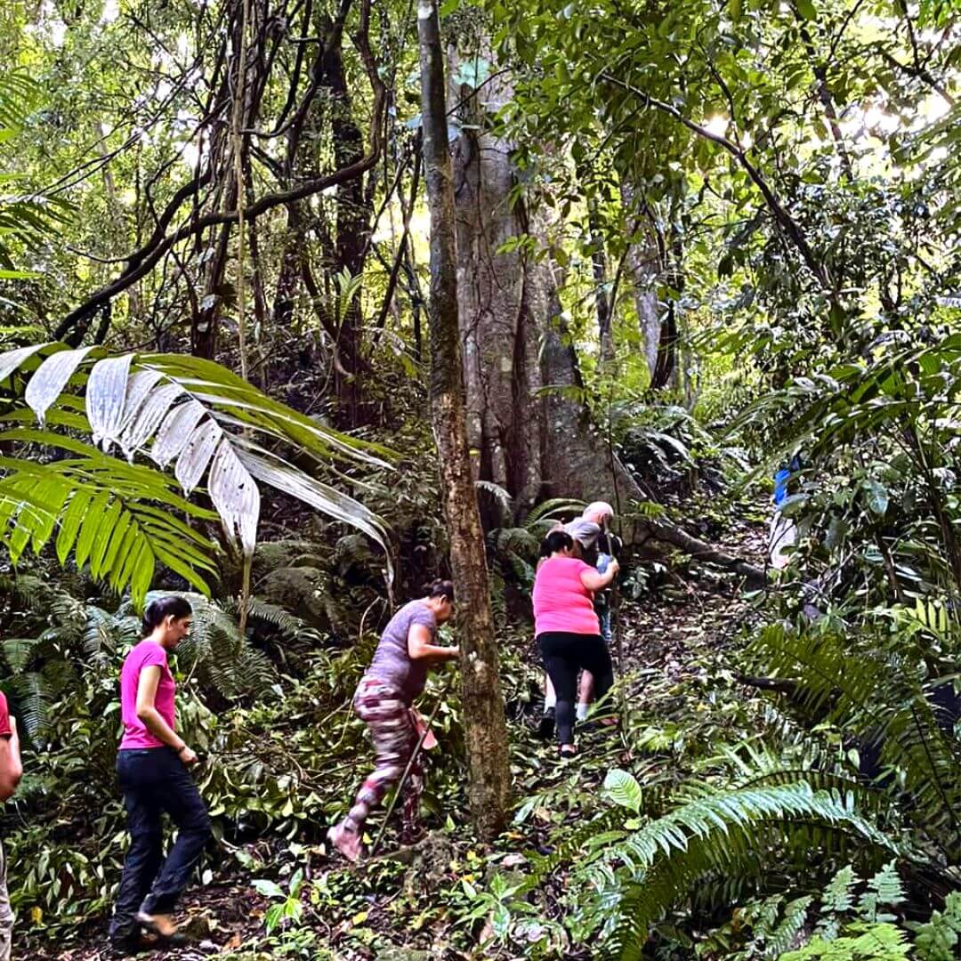 sendero en tenosique tabasco