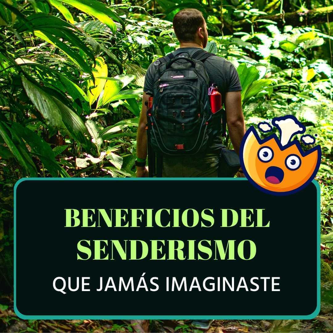 Imagen de 10 Beneficios del Senderismo y la naturaleza respaldados por estudios científicos.