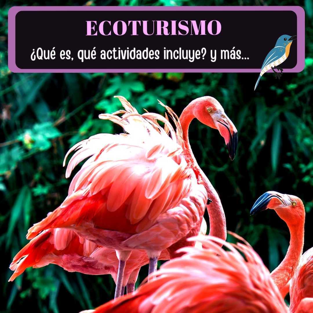 Imagen de ¿Qué es el Ecoturismo?: Actividades, Principios, Estándares y Más.