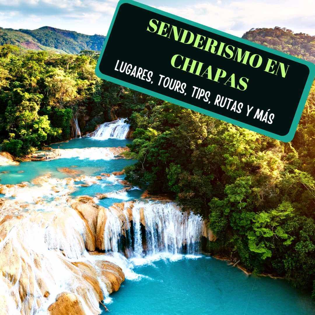 Imagen de Senderismo en Chiapas: 11 Opciones geniales para hacer senderismo en Chiapas