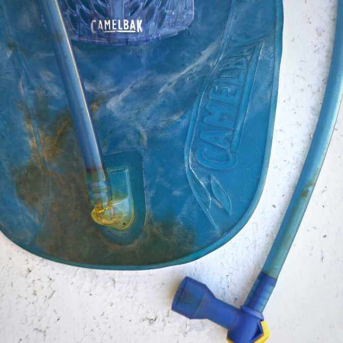 bolsa de hidratacion manchada de moho