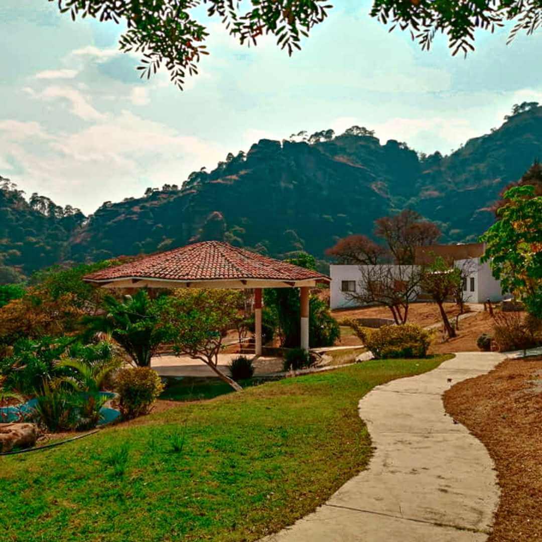 tipo de campamento en terreno comunitario (la casa de la mujer campesina)