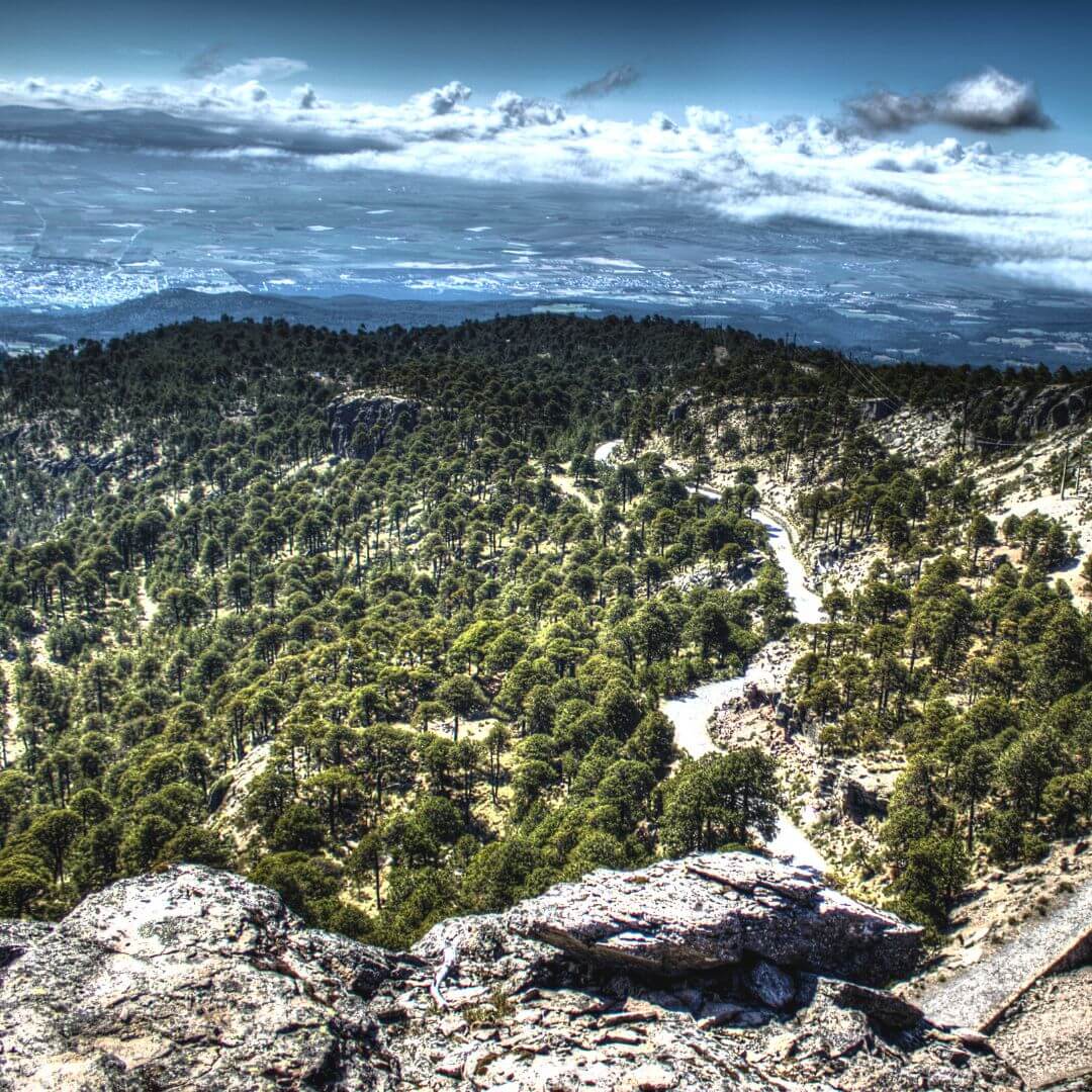 Volcán cofre de perote