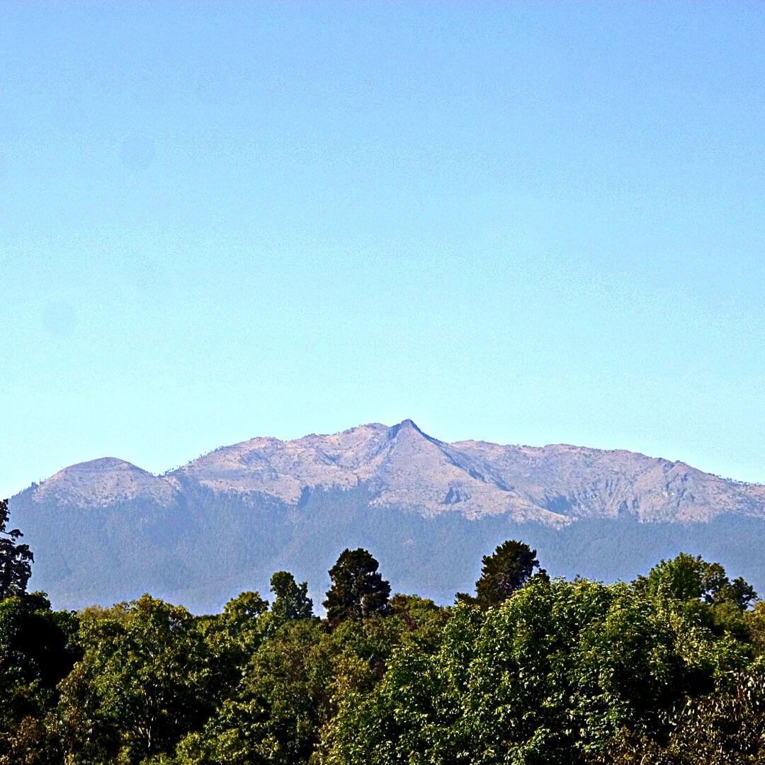el ajusco (cerro de la cruz del marqués)