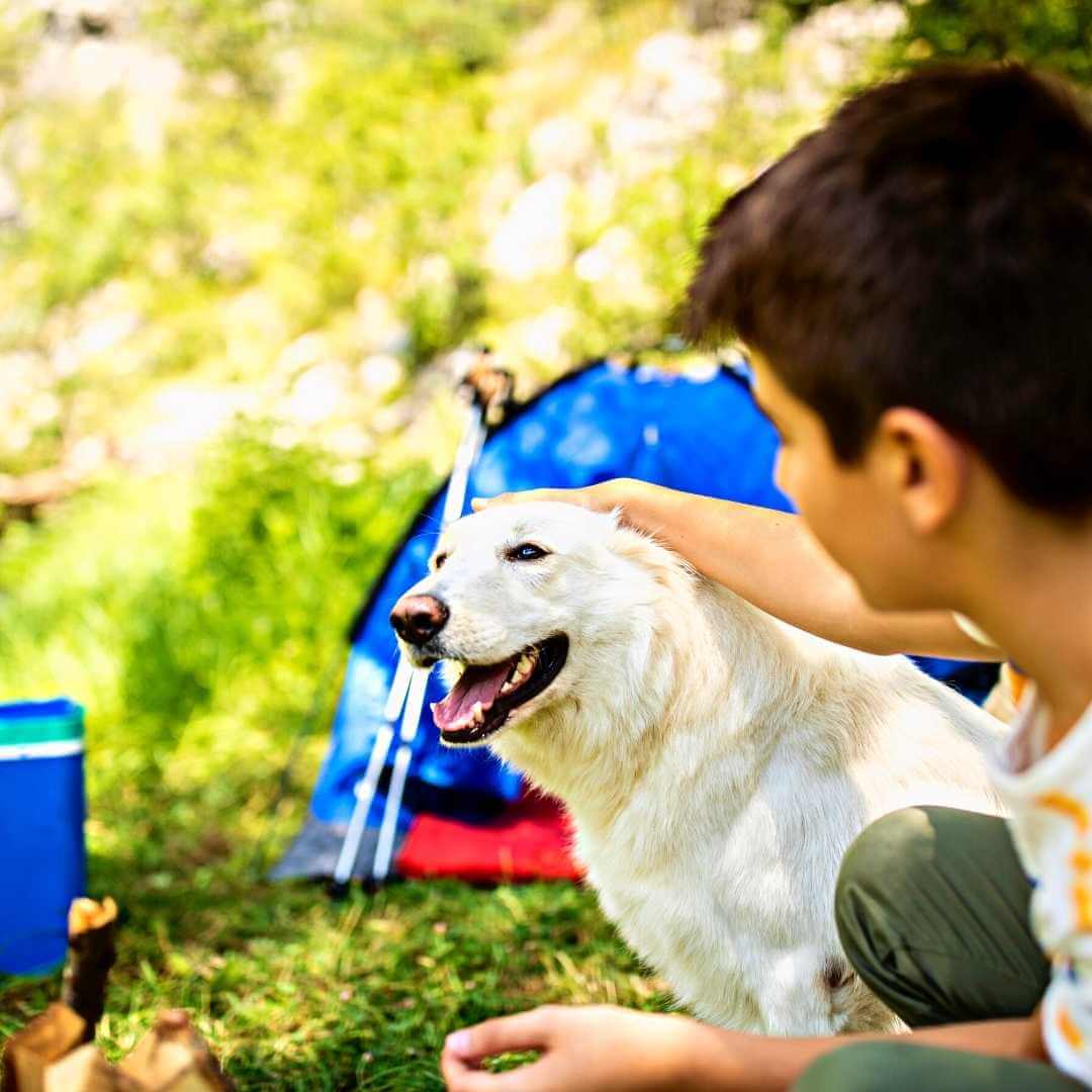 niño con perro