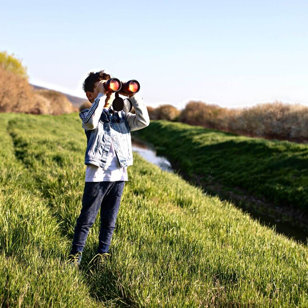 niño observando aves