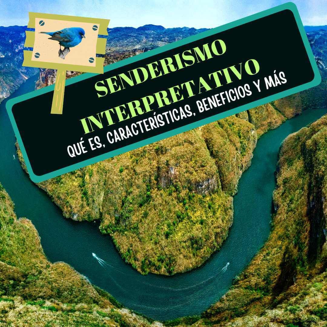 Imagen de Senderismo Interpretativo: qué es, sus beneficios, características, cómo hacer un sendero interpretativo y más...