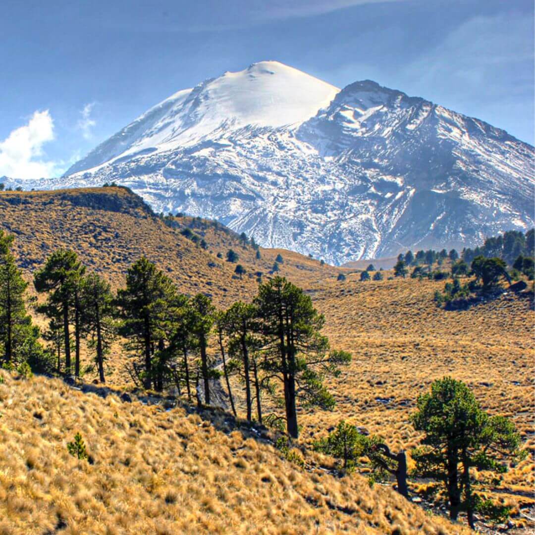 [Cerro Sierra Negra o Tliltépetl