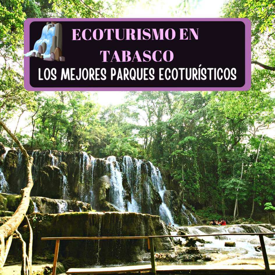 Imagen de Ecoturismo en Tabasco: 10 Centros y Parques Ecoturísticos Increíbles de Tabasco.