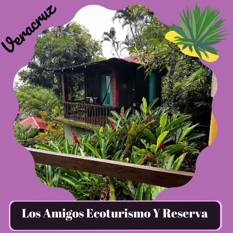 Los Amigos Ecoturismo y Reserva Natural
