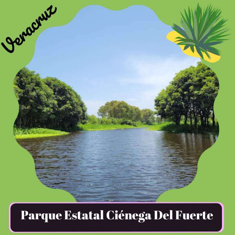 Parque ecoturístico estatal ciénaga del fuerte
