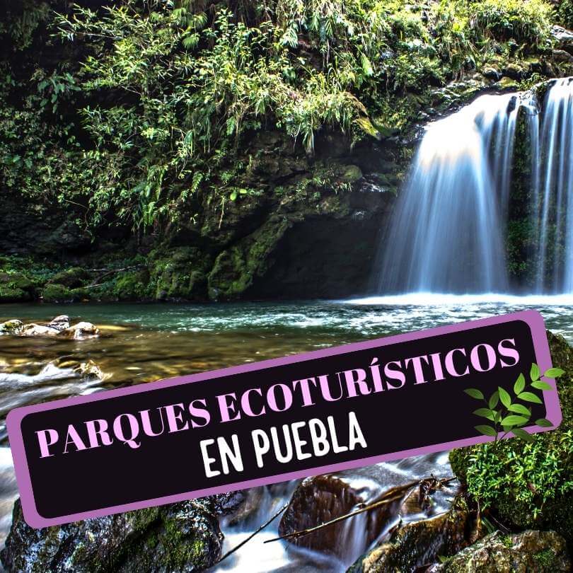 Imagen de Parques Ecoturísticos en Puebla y alrededores: 12 Lugares Increíbles para hacer ecoturismo cerca de Puebla.