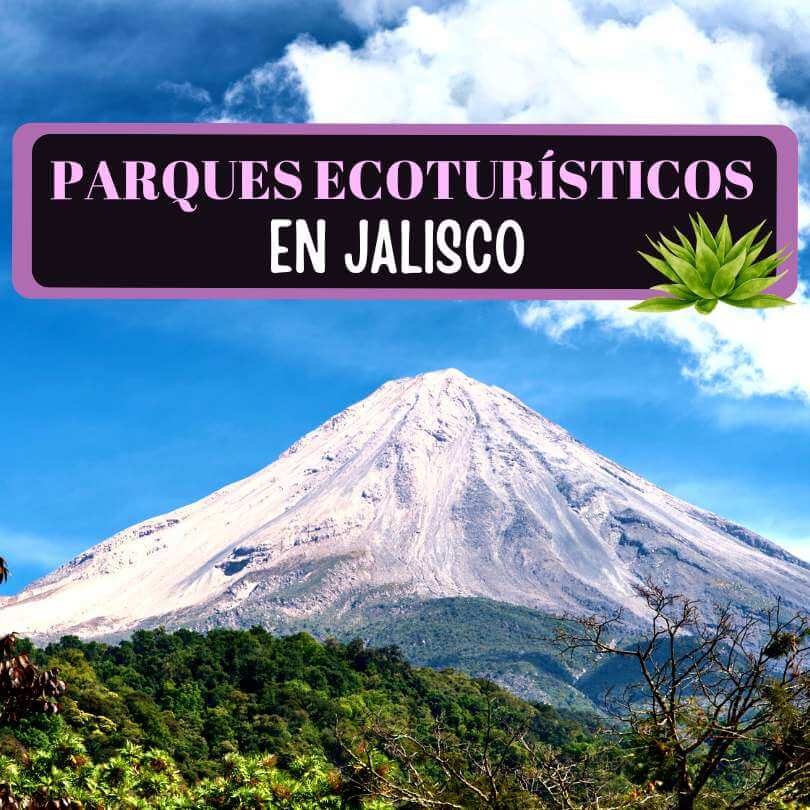 Imagen de Parques Ecoturísticos en Jalisco: 23 parques naturales para hacer ecoturismo en Jalisco