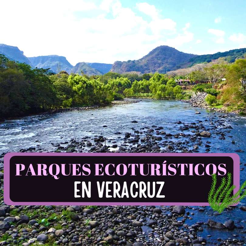Imagen de Parques Ecoturísticos en Veracruz: 22 sitios increíbles para hacer Ecoturismo en Veracruz.