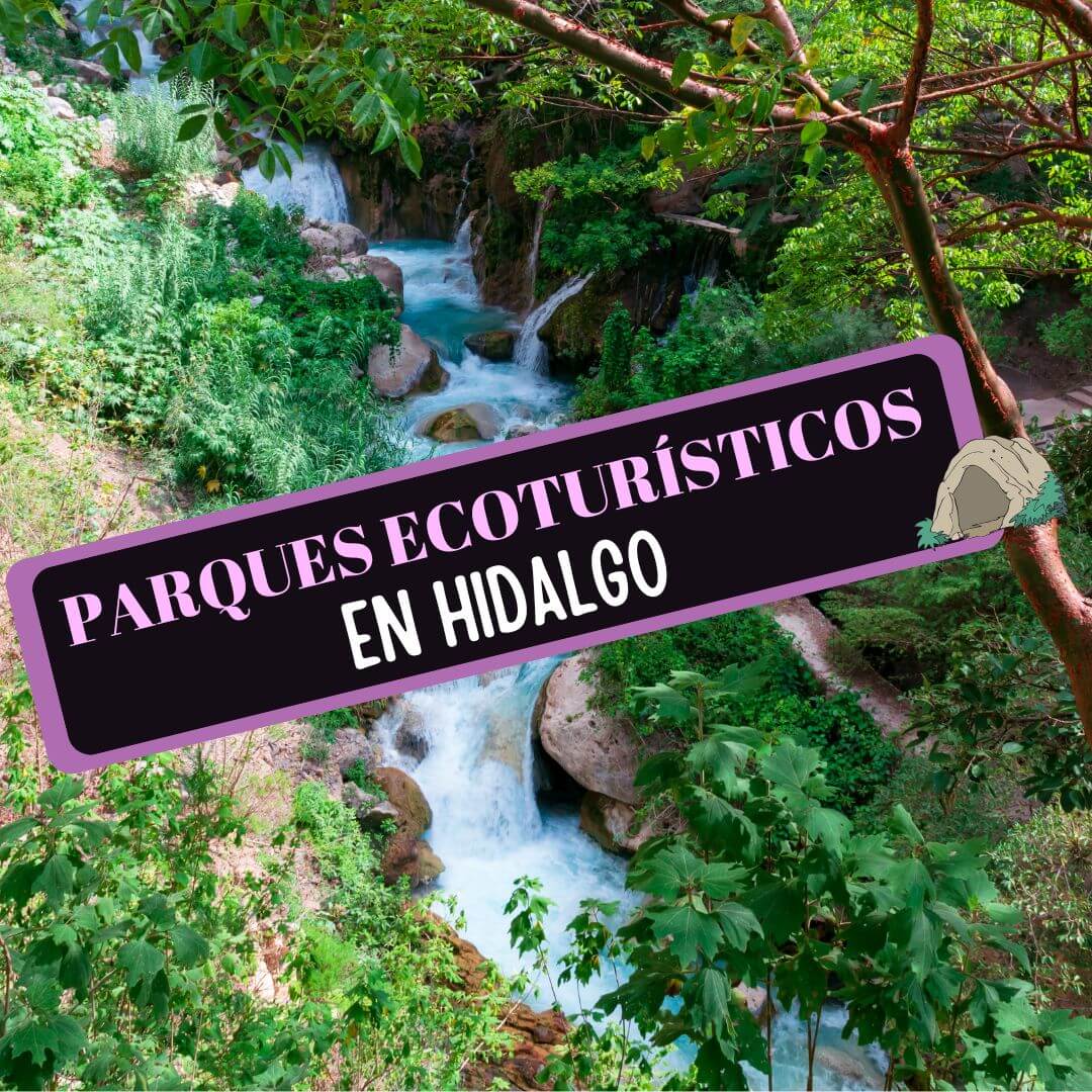 Imagen de Parques Ecoturísticos en Hidalgo: 19 Lugares Geniales para hacer Ecoturismo en Hidalgo.