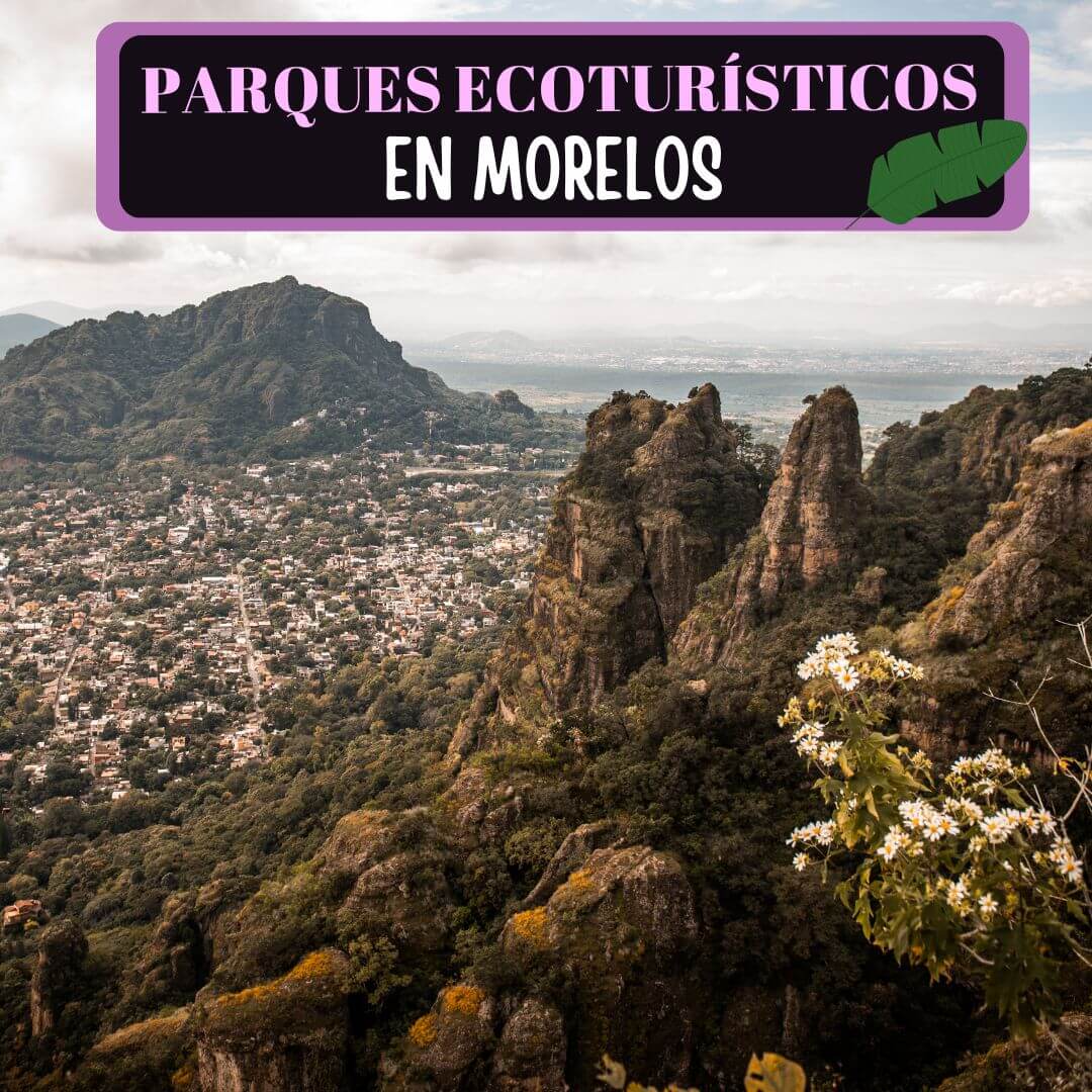 Imagen de Parques Ecoturísticos en Morelos: 15 Sitios Geniales para hacer Ecoturismo en Morelos.