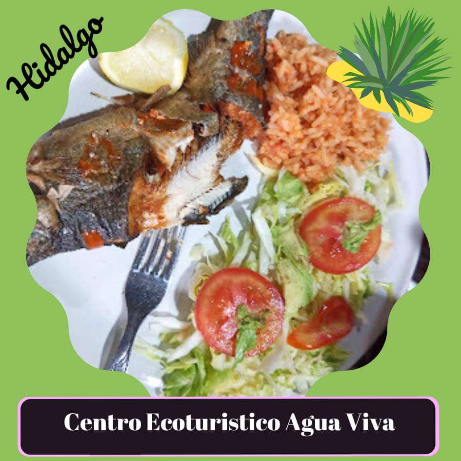 Centro Ecoturistico Agua Viva