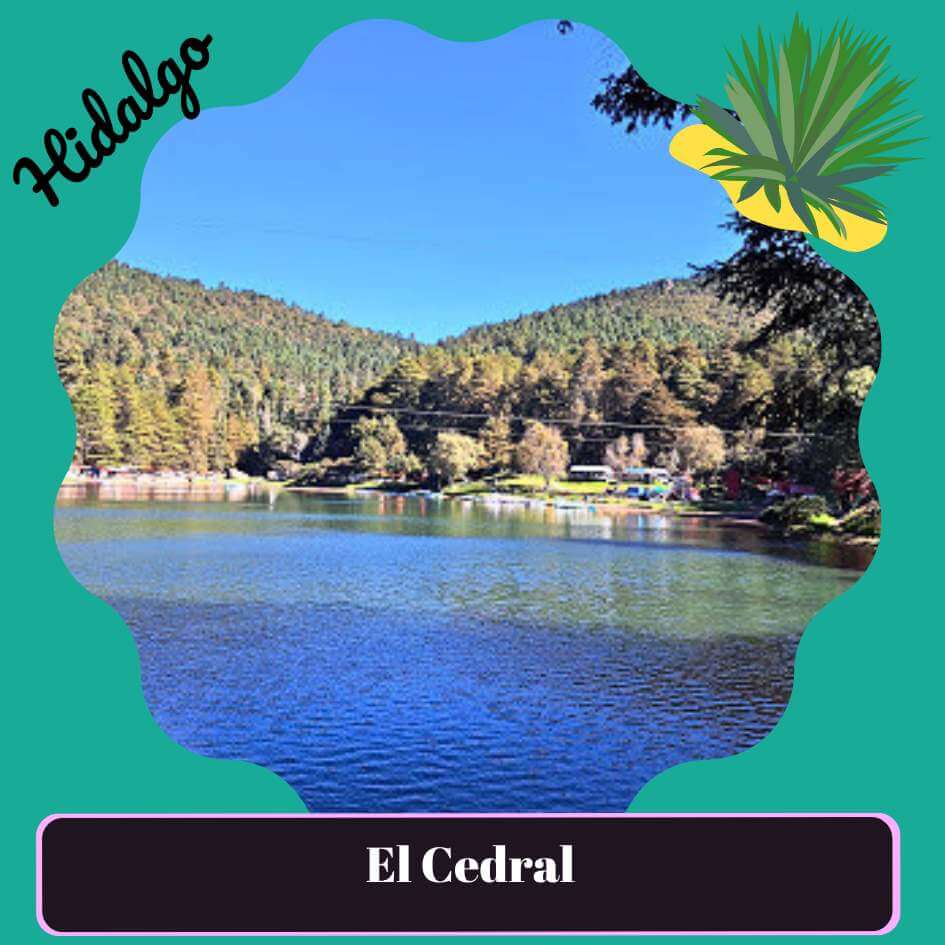 El Cedral