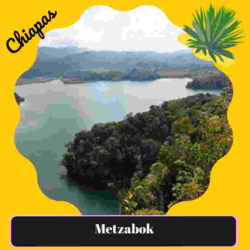 Metzabok