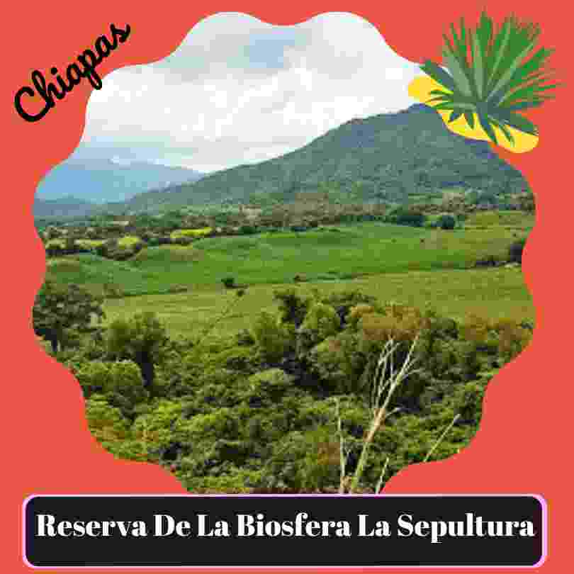 Reserva de la Biosfera La Sepultura