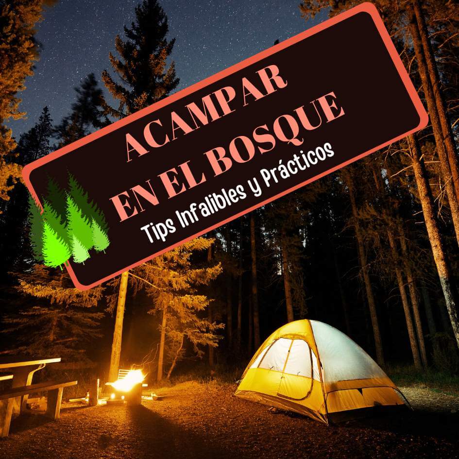 Imagen de 15 Tips infalibles y prácticos para Acampar en el Bosque y Entornos naturales