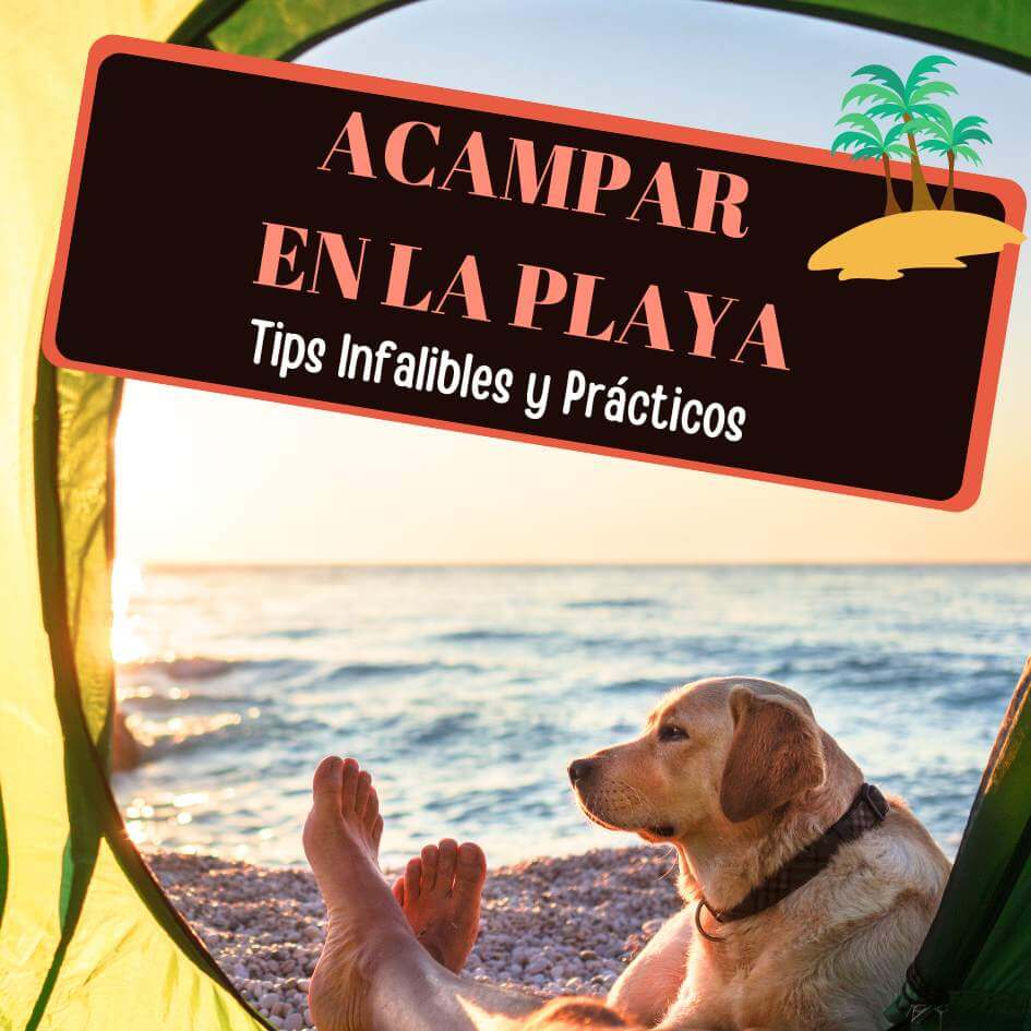 Imagen de Acampar en la Playa: 20 tips infalibles y prácticos para un camping playero exitoso.