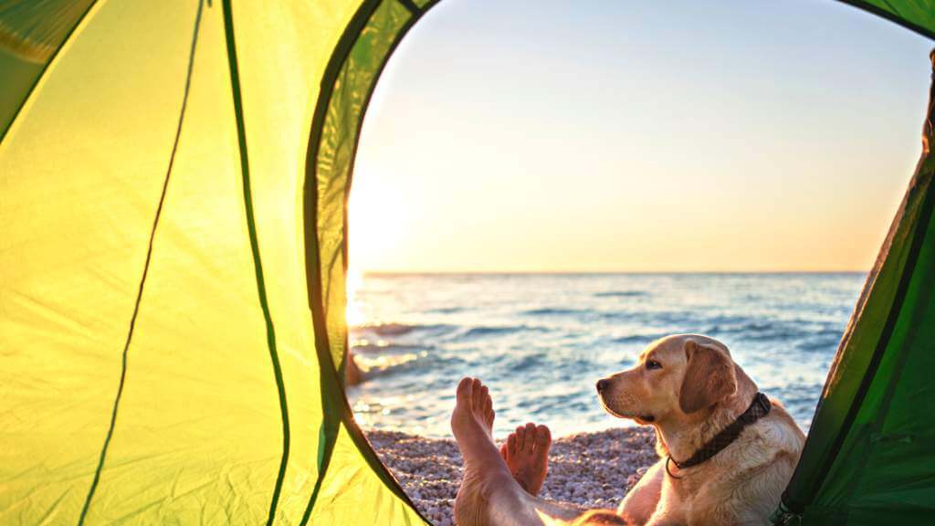 Acampar en la Playa