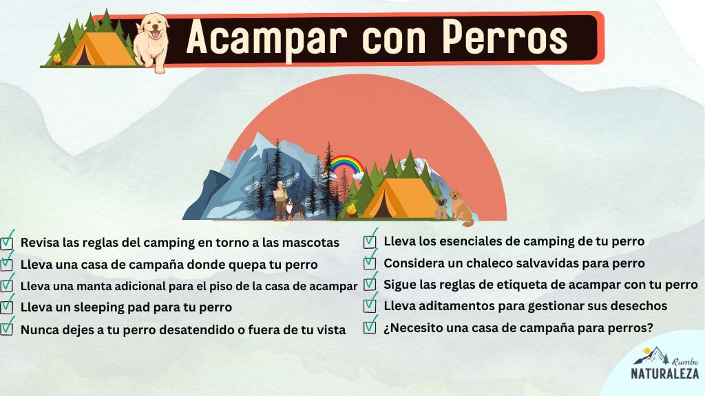 checklist de tips para acampar con perros