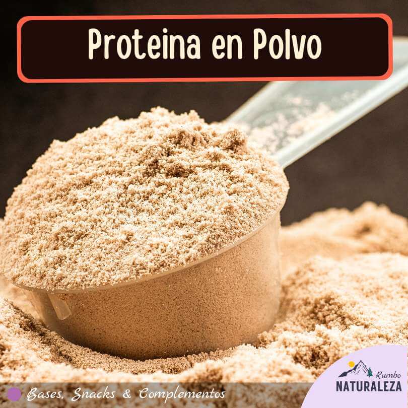 proteina en polvo para un shake mientras acampas