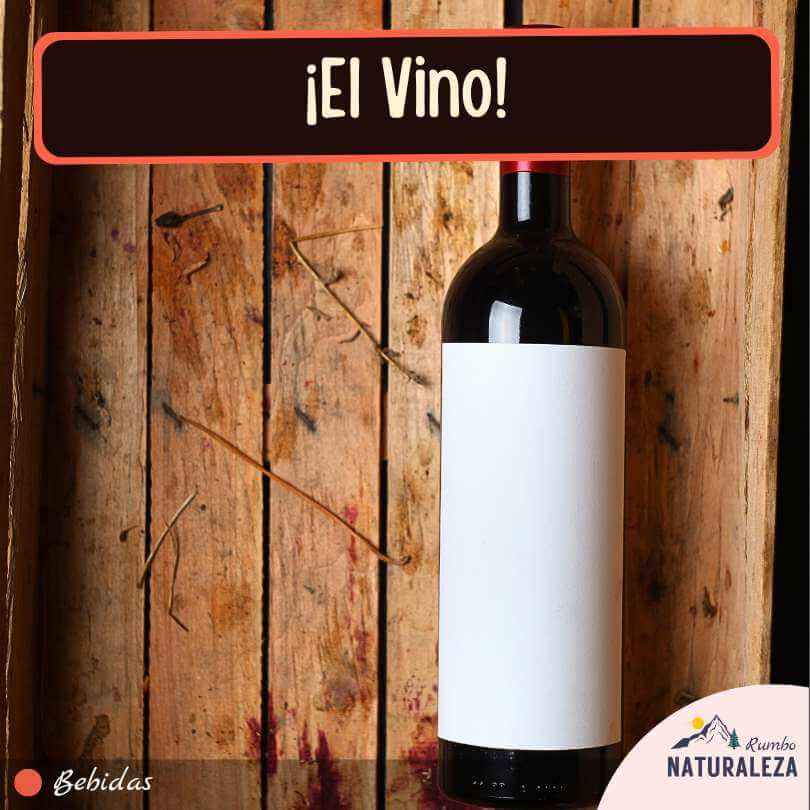 vino cuando haces camping