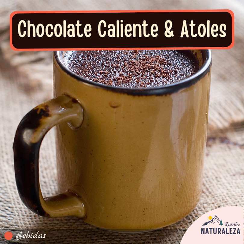 chocolate caliente y atole cuando vas a acampar