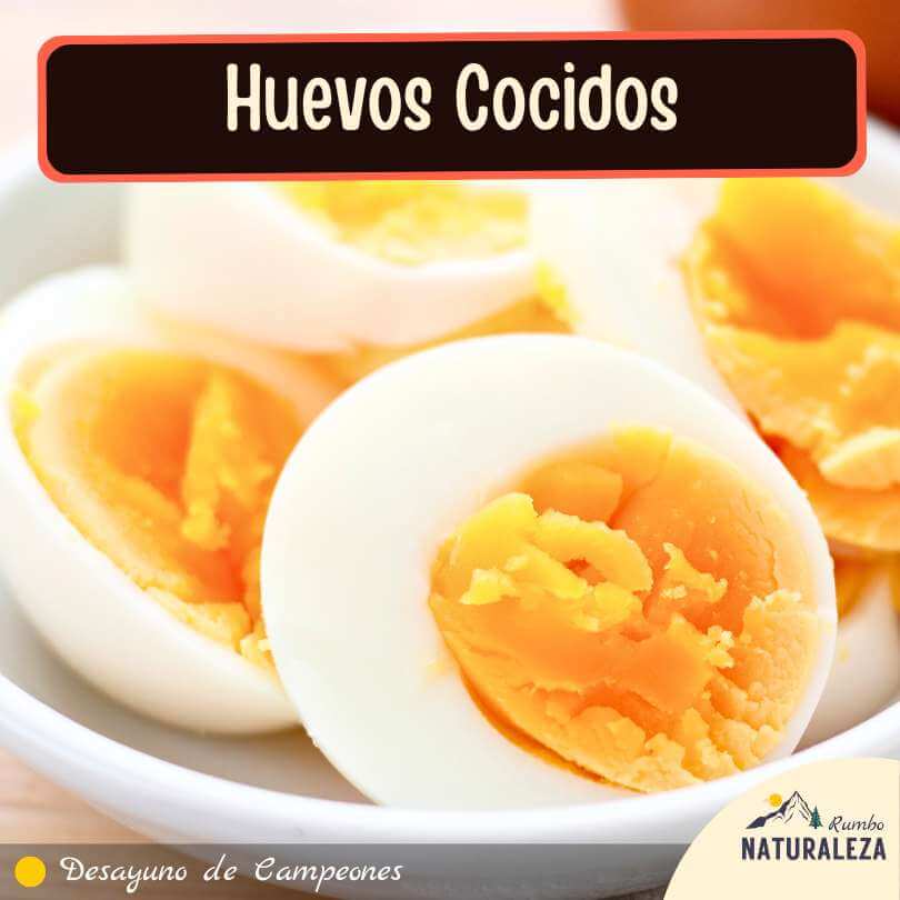 huevos cocidos o duros para desayunar en un campamento
