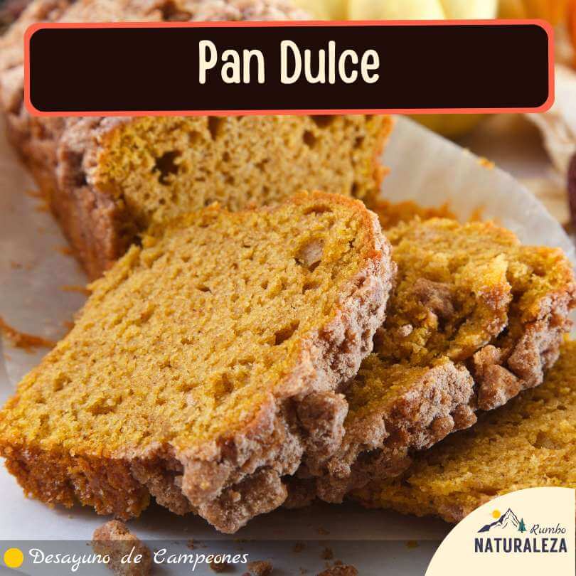 pan dulce para acompañar el desayuno del camping
