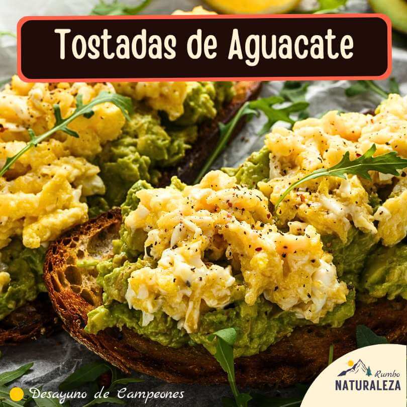 avo-toast para desayunar en el campamento
